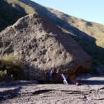 41_Alfalfar_2003.jpg